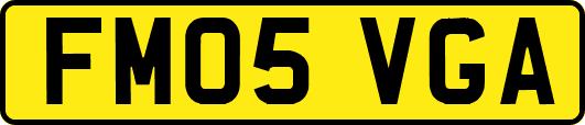 FM05VGA