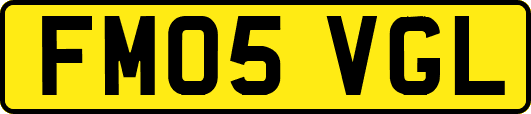 FM05VGL