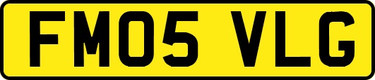 FM05VLG