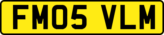 FM05VLM