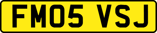 FM05VSJ