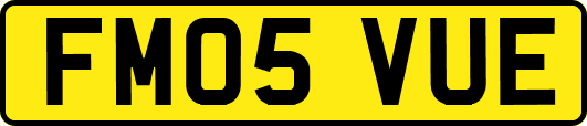 FM05VUE