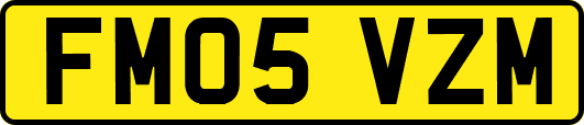 FM05VZM