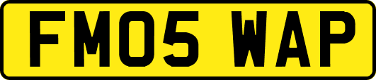 FM05WAP