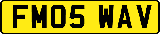 FM05WAV