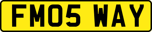 FM05WAY