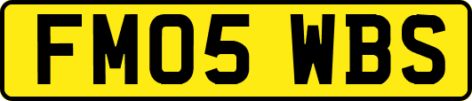 FM05WBS