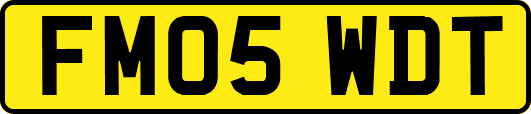 FM05WDT