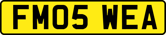FM05WEA