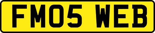 FM05WEB