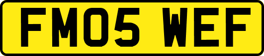FM05WEF