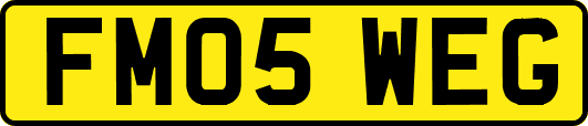 FM05WEG