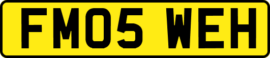 FM05WEH