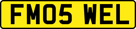 FM05WEL