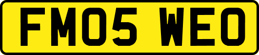 FM05WEO