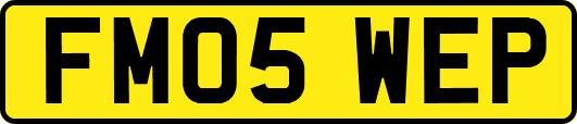 FM05WEP