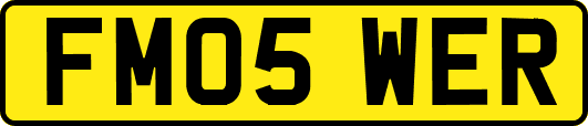 FM05WER