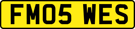 FM05WES