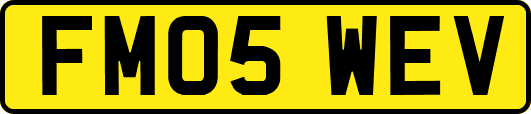 FM05WEV