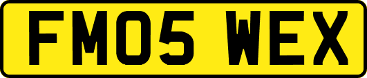 FM05WEX