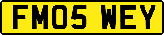FM05WEY