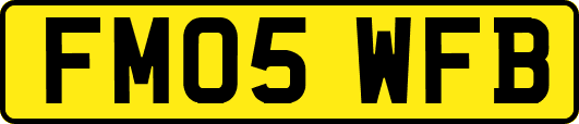 FM05WFB