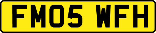 FM05WFH