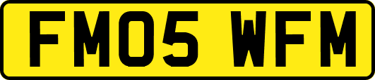 FM05WFM