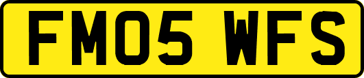 FM05WFS
