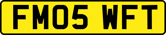 FM05WFT