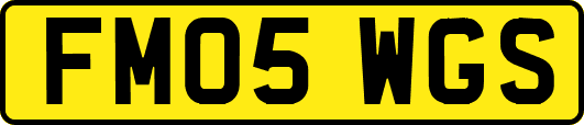 FM05WGS