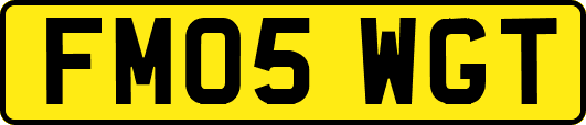FM05WGT
