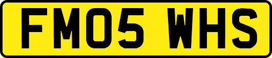 FM05WHS