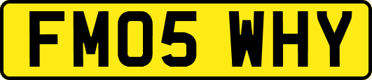 FM05WHY