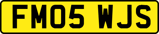 FM05WJS