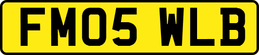 FM05WLB