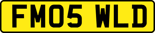 FM05WLD