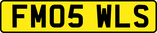 FM05WLS