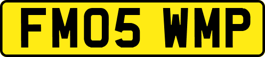 FM05WMP