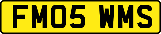 FM05WMS