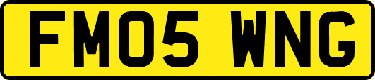 FM05WNG