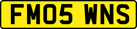 FM05WNS