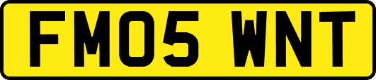 FM05WNT