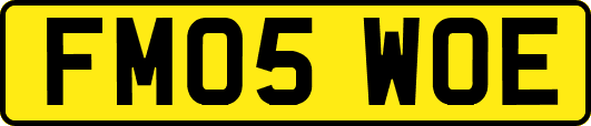 FM05WOE