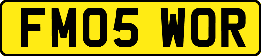 FM05WOR