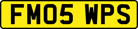 FM05WPS