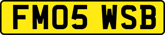 FM05WSB