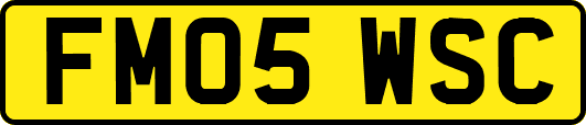 FM05WSC