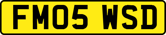 FM05WSD