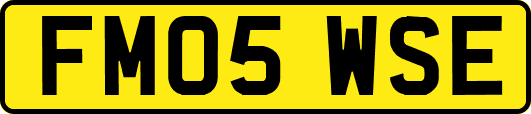 FM05WSE